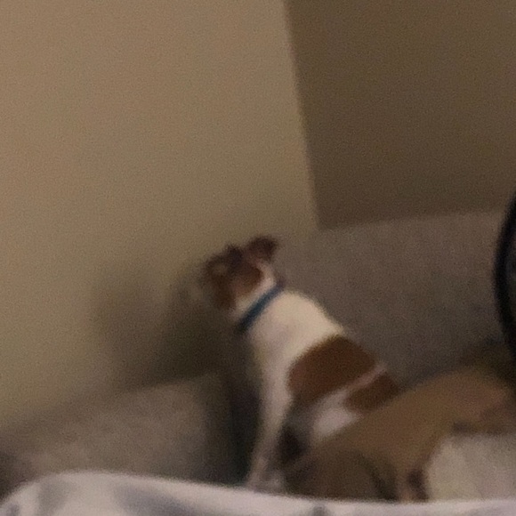 Meet your Posher, Caroline - Picture 1 of 1